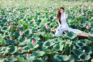 Thuê xe sài gòn đi đồng tháp